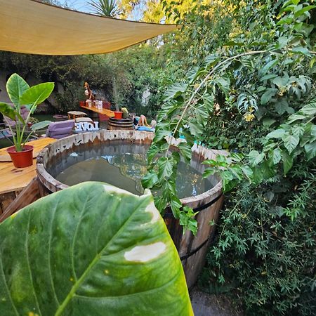 La Araucaria Cabana Con Tinaja ซานเฟลิเป ภายนอก รูปภาพ